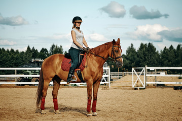 girl rider on horseback. horseback riding.