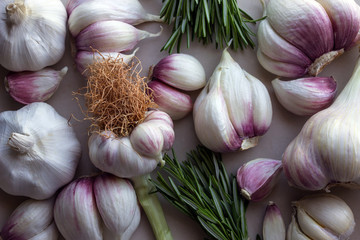 Young garlic, red onions and fresh rosemary on light background. Concept- organic vegetables, healthy food.