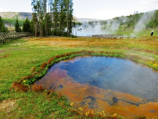 Yellowstone