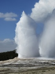 Geysir