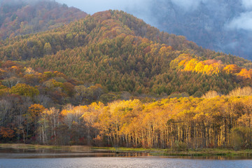 Beautiful autumn view of Kagami lake or Mirror Pond in Togakushi, Nagano, Japan