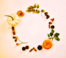 Wreath made of pumpkin, autumn berries, dried leaves, acorn, pine cones, anise staron pastel background. Autumn concept. Flat lay, top view, copy space. Toned image. Vintage style. Autumn background.