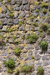 Fototapeta na wymiar Background – natural stone wall