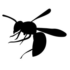 isolated, insect, wasp silhouette, bee