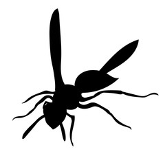 vector, isolated, insect, wasp silhouette, bee on a white background