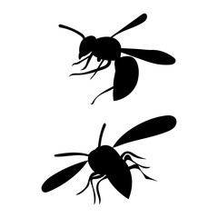 isolated, insect, wasp silhouette, bee set