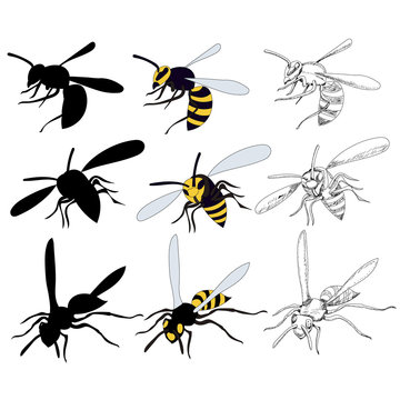  insect, wasp, bee set with sketch and silhouette