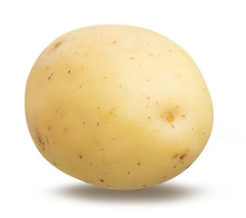 Fresh potato isolated on white background  with clipping path