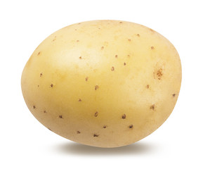 Fresh potato isolated on white background  with clipping path