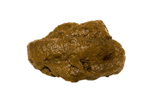 Human Feces" Images – Browse 529 Stock Photos, Vectors, and Video | Adobe  Stock