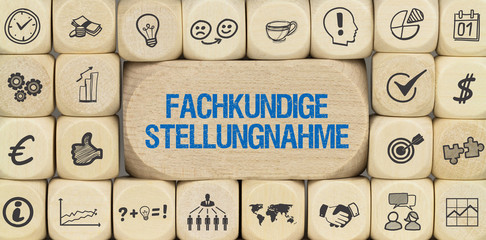 Fachkundige Stellungnahme