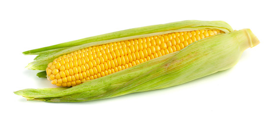 Corn in the leaves isolated on white background.