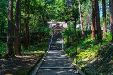 Fototapeta na wymiar Kono, Manai Shrine in Kyoto, Japan