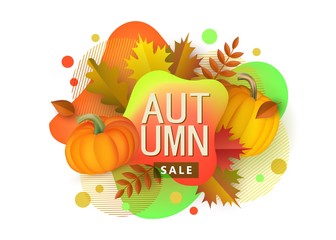 Autumn sale web spots and pumpkins banner template vector illustration isolated.