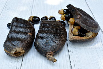 Black rosewood seeds are black and yellow, beautifully decorated on a gray wood pattern table.