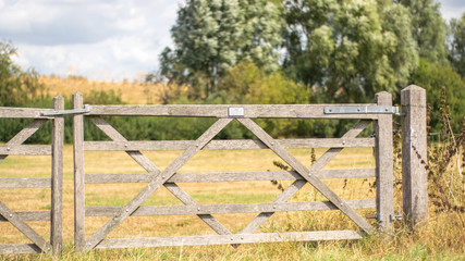 Fototapeta premium Wooden Gate for Dutch pasture