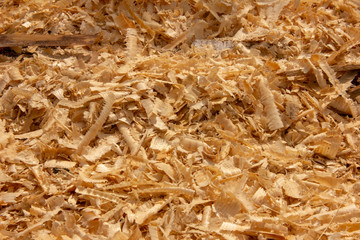 wood shavings at a sawmill. wood waste at a sawmill.