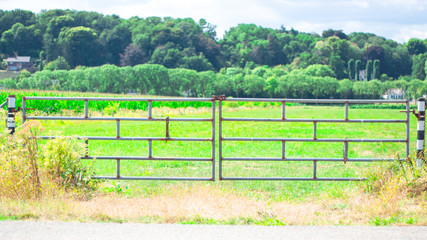 rusty iron gate in front Dutch landscape