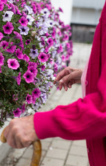 Senior woman taking care of plants in garden