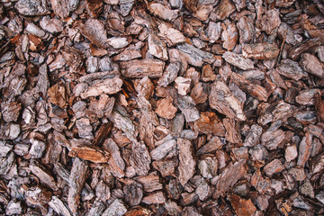 Background from coniferous tree bark pieces. Abstract background texture. Top view.