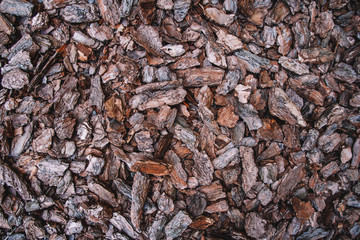 Background from coniferous tree bark pieces. Abstract background texture. Top view.