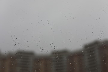 rain drops on window