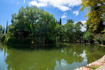 Obraz premium Park with pond. blue water. palm trees on the shore