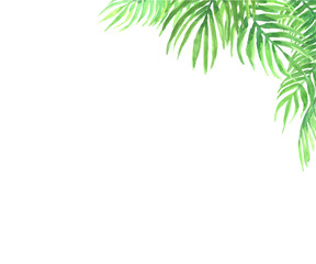 Obraz na płótnie Canvas Vector watercolor frame of acai palm leaves.