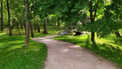 Gravel path in green summer forest leading to a wooden bridge