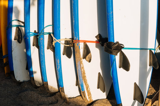 Many single fin blue and white surfing longboard with surf leash ready for rent. Set of multicolored surf boards in a stack by ocean. Surf lessons, water sport and adventure camp on summer vacation.