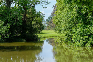 Fototapeta na wymiar Water landscape with lush greenery and trees