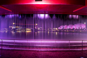 夜桜　富岩運河環水公園 © Nature K Photostudio