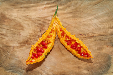 Exotic vegetable Mamordika