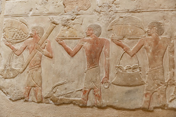 Scenes in Saqqara Necropolis, Cairo, Egypt