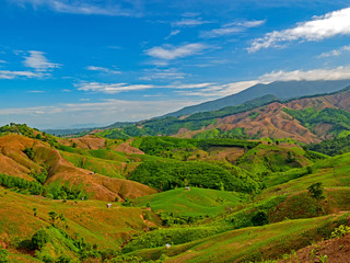 Green Terraces rice field, a beautiful natural beauty on mountain in Nan,Khun Nan Rice Terraces, Boklua Nan Province, north Thailand.