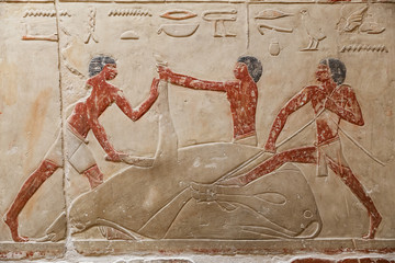 Scenes in Saqqara Necropolis, Cairo, Egypt