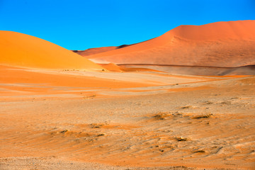 Saususs Vlei