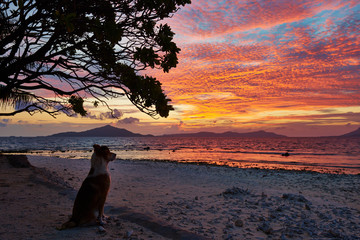 Fototapeta na wymiar Sunset beach in chuuk lagoon