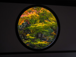 Round Window of Enlightenment with colorful trees in autumn at Genko-an Temple, Kyoto, Japan