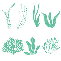 Collection of underwater seaplants and corals, set with marine plants for fabric, textile, wallpaper, nursery decor, prints, childish background. Vector botanical flora