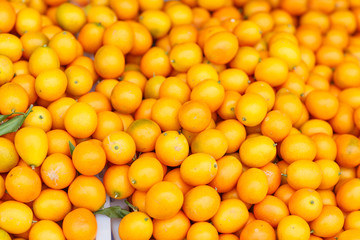Top view of bunch of fresh kumquats in the organic food market