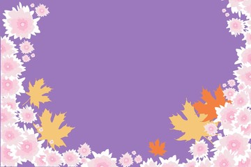 Autumn gently pink flowers, chrysanthemum, floral background, greeting card, illustration in vector