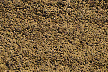 Wall of the house. Concrete coating. Cement slab.	