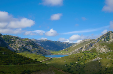 Fototapeta premium Covadonga Lagoon in Picos de Europa in Asturias, Spain