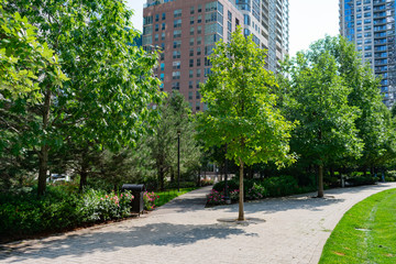 Path with Plants and Trees with Skyscrapers at the Lake Shore East Park in Chicago