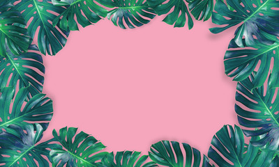 Fototapeta na wymiar monstera leaves isolated on pink background