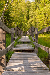 wooden footbridge through the swamp.