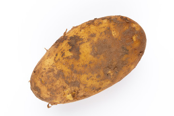 Young potato isolated on white background. Harvest new. Flat lay, top view.