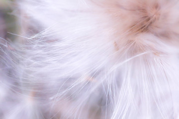 Abstract light fluff blur background