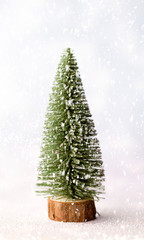 Christmas decoration with fir branches on the wood background.